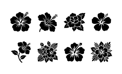 Tropical hibiscus flower silhouettes, set of 8 black floral vector icons, exotic Hawaiian bloom illustrations for summer branding and logo design © Imran