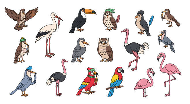 Diverse collection of colorful cartoon birds including a parrot, flamingo, owl, toucan, and ostrich isolated on a white background.