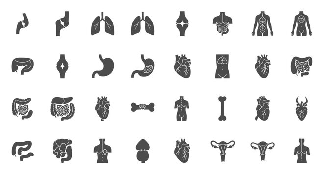 Comprehensive collection of medical icons representing various internal human organs and skeletal parts in a solid grey vector style.