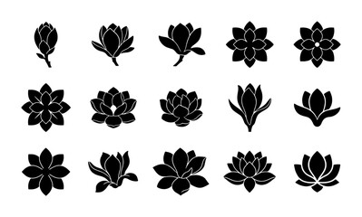 Minimalist magnolia flower silhouette icons, set of 15 black floral vector elements, elegant lotus and lily blossom shapes for logo design © Nazim