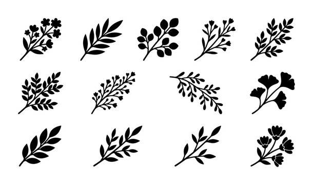 Minimalist black leaf silhouettes, set of 14 botanical branch icons, floral foliage vector elements for wedding invitations and logo design