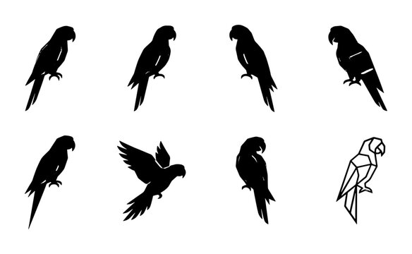 Parrot silhouette vector set, black macaw bird icons in various poses, tropical parrot flying and perched silhouettes, 8 exotic bird elements