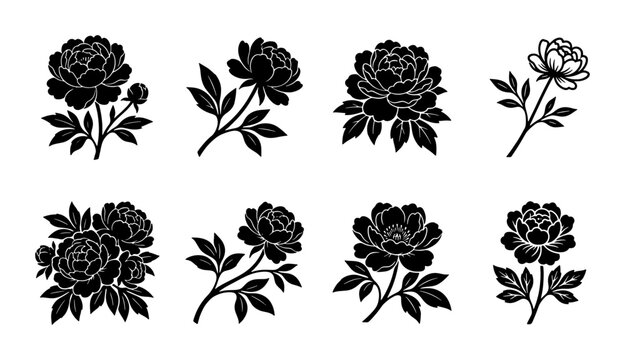 Vintage peony flower silhouettes, set of 8 black floral botanical vector icons, elegant rose and peony blossom illustrations for wedding invitations