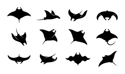 Manta ray silhouette collection, 12 black stingray vector icons, marine life sting ray shapes, ocean animal graphic set for logo design © Naima