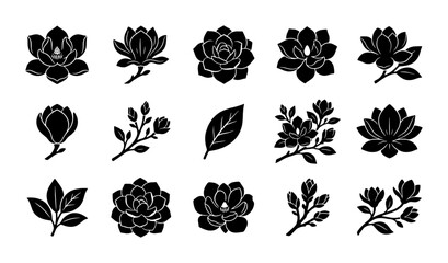 Black magnolia flower silhouettes, set of 15 botanical vector icons, elegant floral blossom and leaf illustrations for wedding invitations and logo design © Mizanur