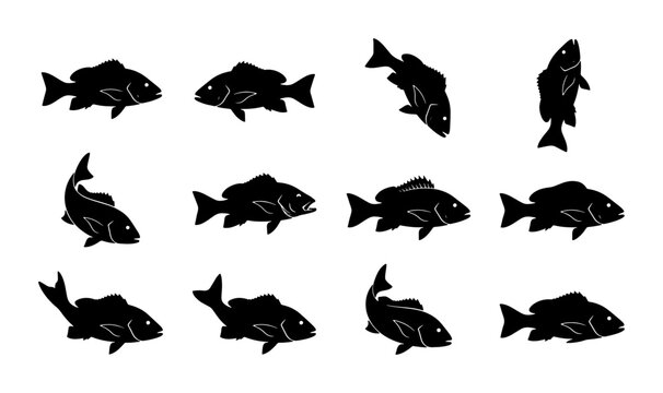 Black fish silhouette collection, set of 12 aquatic animal icons, minimalist sea creature vector graphics for fishing and seafood branding