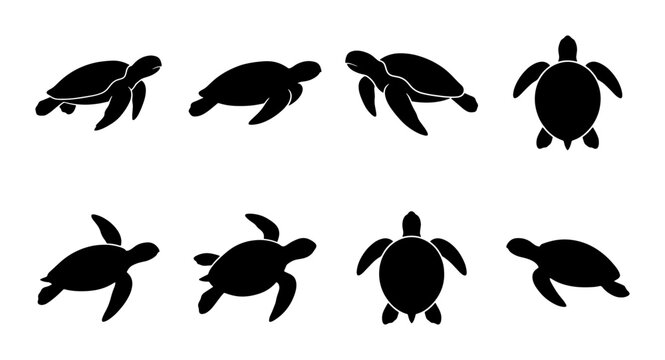 Sea turtle silhouette collection, 8 black marine animal vector icons, swimming aquatic reptile shapes, ocean wildlife design elements