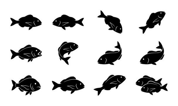 Black fish silhouette collection, 12 sea bream and snapper icons, aquatic animal vector set for seafood restaurant branding and fishing logos
