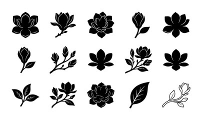 Black magnolia flower silhouettes, set of 15 botanical vector icons, elegant floral blossom shapes, minimalist garden plant elements for logo design © Habibur