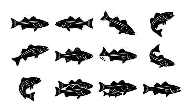 Striped bass fishing icons set, black silhouette fish vector collection, sea bass swimming and jumping poses, nautical wildlife graphics for fishing gear