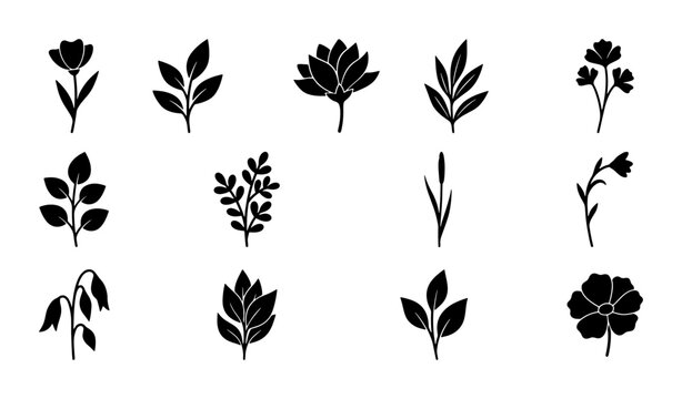 Minimalist black floral silhouettes, set of 14 botanical vector icons, hand drawn flower and leaf elements for wedding invitations and logo design