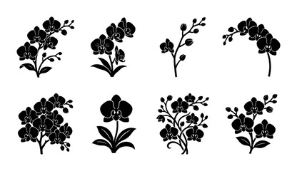 Black orchid flower silhouettes, set of 8 floral vector icons, tropical botanical blossom illustrations, elegant phalaenopsis plant elements for logo design © Masum