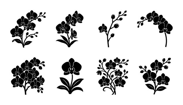 Black orchid flower silhouettes, set of 8 floral vector icons, tropical botanical blossom illustrations, elegant phalaenopsis plant elements for logo design