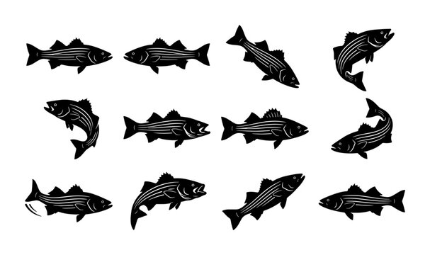 Vintage striped bass fish silhouettes, set of 12 black sea bass vector icons, retro fishing club emblems and nautical wildlife graphics