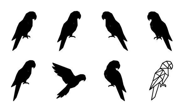 Parrot silhouette vector set, black tropical bird icons in various poses, geometric macaw outline and flying parrot shapes, 8 bird elements