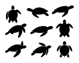 Sea turtle silhouette collection, set of 9 marine animal vector icons, black aquatic reptile shapes for ocean conservation and beach branding © Adiba