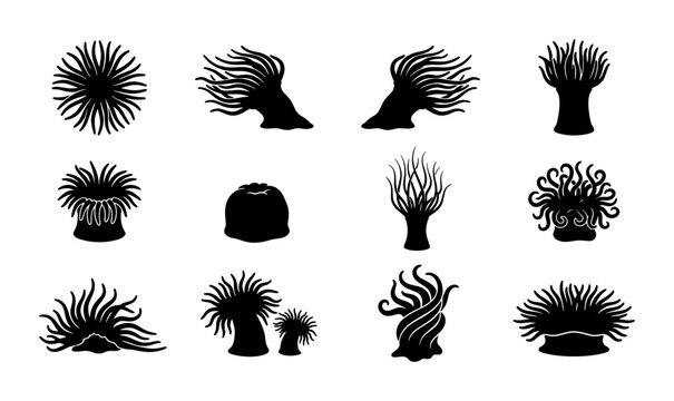 Black sea anemone silhouette icons set, marine life coral reef organism vector collection, underwater aquatic plant and animal shapes for nature design