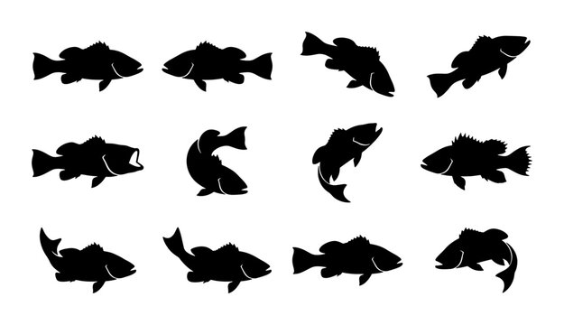 Black fish silhouettes collection, 12 vector sea bass and grouper icons, aquatic animal shapes for fishing logos and seafood branding