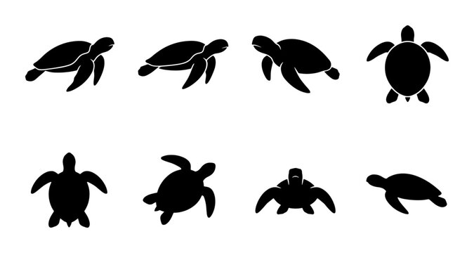 Sea turtle silhouette collection, set of 8 black marine animal icons, aquatic reptile vector graphics for ocean conservation and beach branding