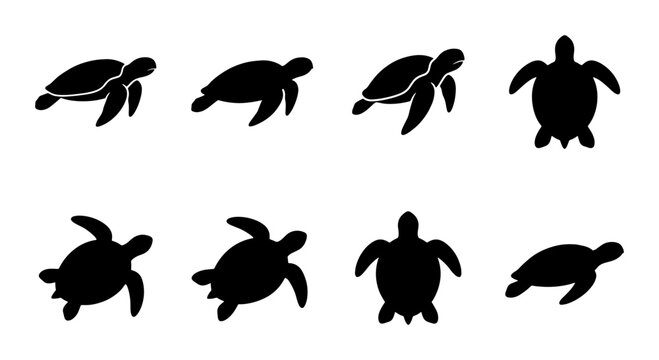 Sea turtle silhouette collection, 8 black marine turtle icons, aquatic reptile vector set, minimalist ocean wildlife graphics for conservation logos
