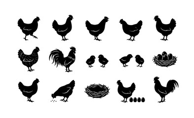 Vintage chicken silhouette collection, rustic farm poultry vector set with roosters and hens, black bird icons for organic food branding © Anisur