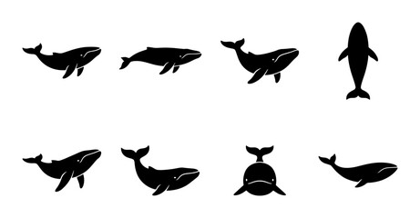 Humpback whale silhouette collection, set of 8 black marine animal icons, aquatic wildlife vector graphics for ocean conservation and nature design © Mahira