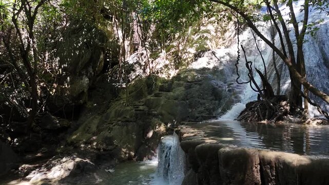 waterfall in the forest