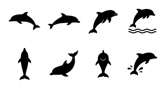 Dolphin silhouette collection, set of 8 marine mammal icons, jumping and swimming sea life vector graphics, aquatic animal shapes for logos