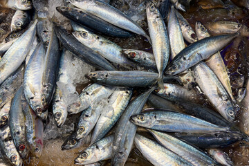 Fototapeta premium Mixed fresh fish in bulk representing daily catch, wet market supply, and seafood business.
