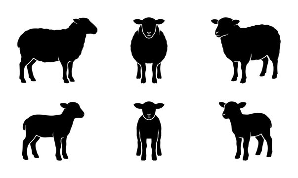 Black sheep silhouette collection, 6 farm animal vector icons, minimalist lamb and ewe profiles, livestock farm graphics for logo design