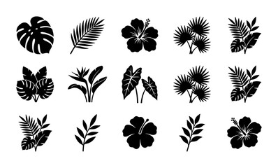 Tropical leaf silhouettes and hibiscus flower icons, 15 black botanical vector elements, exotic palm and monstera foliage set for summer design © Taslima