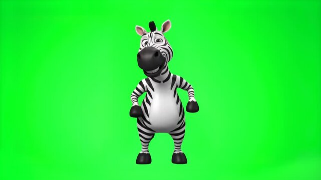 A fun 3D zebra character performing a dance routine. Animated wild animal mascot with black and white stripes isolated on a chroma key green screen for children's entertainment and educational video c