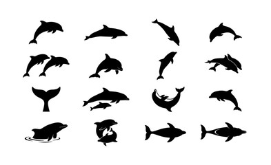 Dolphin silhouette collection, 16 black aquatic animal icons, marine life vector set, jumping dolphins and whale tail shapes for ocean branding © Mahinul