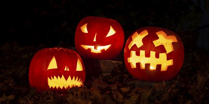 Glowing pumpkins at night, pumpkin face, carved pumpkins, grimace, halloween, dark background
