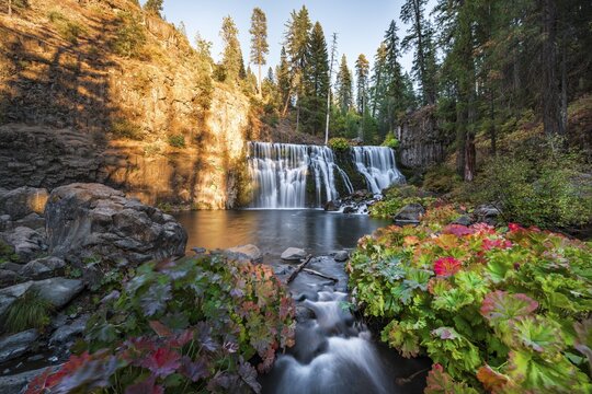 Middle Falls, Fall Waterfall, McCloud River, Siskiyou County, California, USA