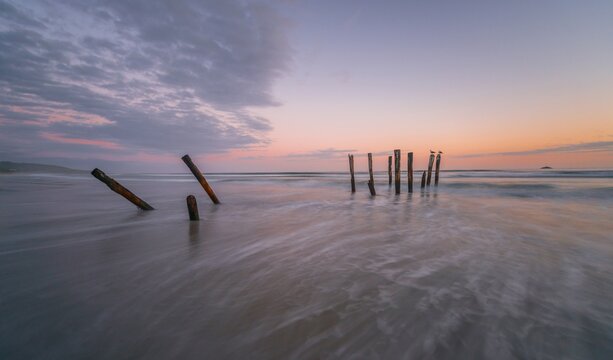 Old broken bridge, posts in the water on the beach at dusk, St. Clair, Dunedin, Southland, New Zealand