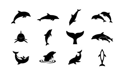 Dolphin silhouette collection, 12 aquatic mammal vector icons, black sea animal shapes, jumping and swimming dolphins for marine life design © Jahangir