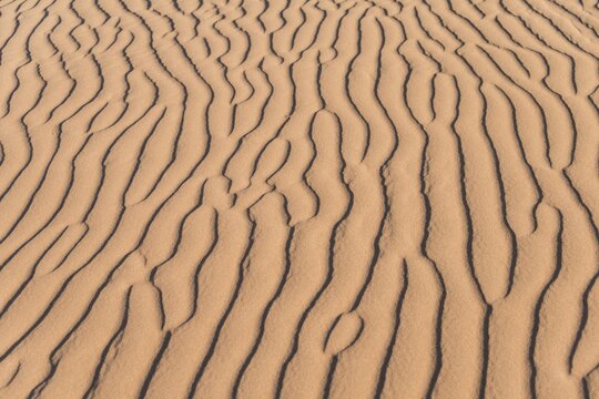 Wave pattern in the sand, Sossusvlei, Namib-Naukluft National Park, Namibia