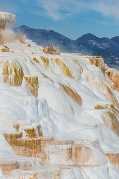 Sinter terraces with calcareous tuff deposits, hot springs, colorful mineral deposits, Palette Springs, Lower Terraces, Mammoth Hot Springs, Yellowstone National Park, Wyoming, USA