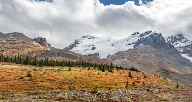 Barren landscape, glacial valley, Mount Athabasca, Icefields Parkway, Jasper National Park National Park, Canadian Rocky Mountains, Alberta, Canada