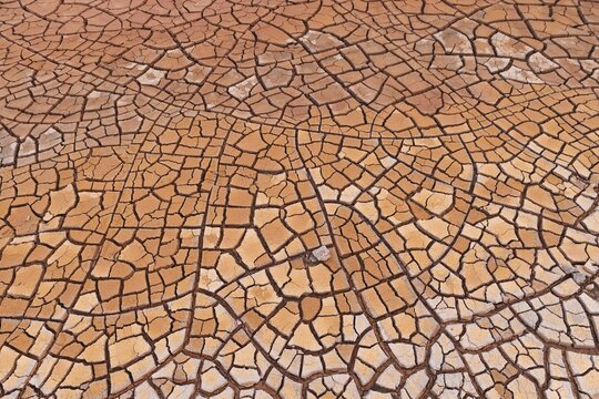 Cracks in clay soil form mosaic-like structure, geothermal field, N&aacute;mafjall, M&yacute;vatn, Krafla volcanic system, Iceland
