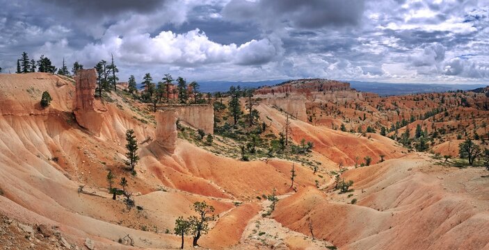 Queens Garden Trail with sandstone pillars or hoodoos, landscape formed by erosion, Bryce Canyon National Park, Utah, United States