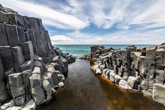 Coastal basalt cliffs, basalt columns, Blackhead, Dunedin, Otago, South Island, New Zealand