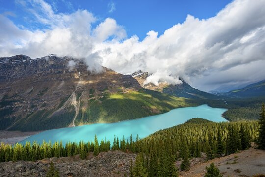 Cloudy mountain peaks, turquoise glacial lake surrounded by forest, Peyto Lake, Rocky Mountains, Banff National Park, Alberta Province, Canada