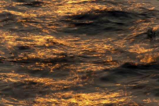 Water in the morning light, Kerala, India