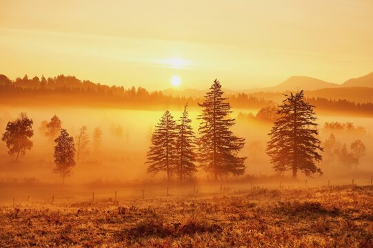 Sunrise High Moor Eigenried Zugerberg, Canton Zug, Switzerland