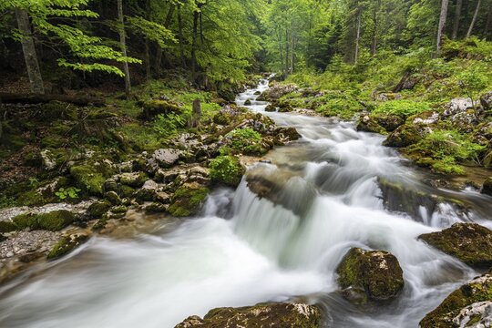 Torrent in Hartelsgraben, Ges&auml;use National Park, Styria, Austria
