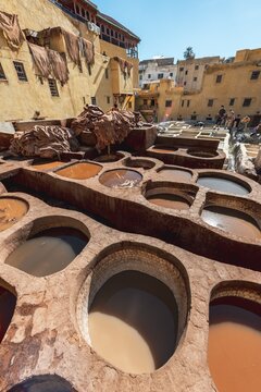 Cymbals with paint, dyeing, tannery Tannerie Chouara, tanner and dyer quarter, Fes el Bali, Fes, Kingdom of Morocco, Africa