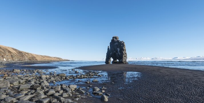 Hvitserkur, Elephant Rock on lava beach, natural basalt rock formation, Northwestern Region, Iceland