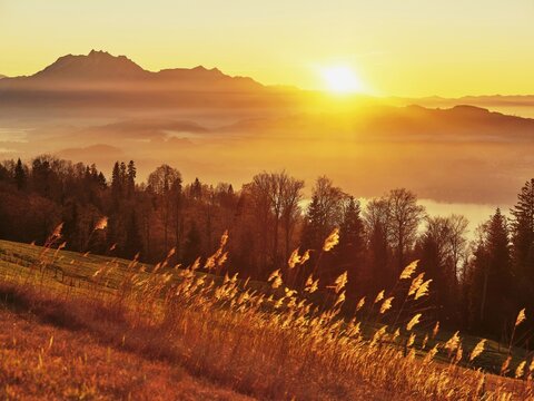 High moor at Zugerberg at sunset, Lake Zug with Pilatus in the background, Canton Zug, Switzerland